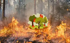 Dichiarazione stato di massima pericolosità per gli incendi boschivi su tutto il territorio regionale del Piemonte.
